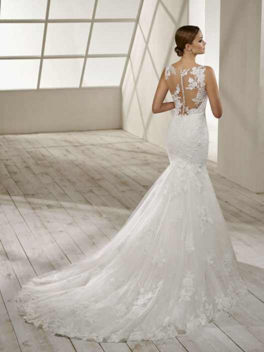 Divina Sposa by Elianna Moore